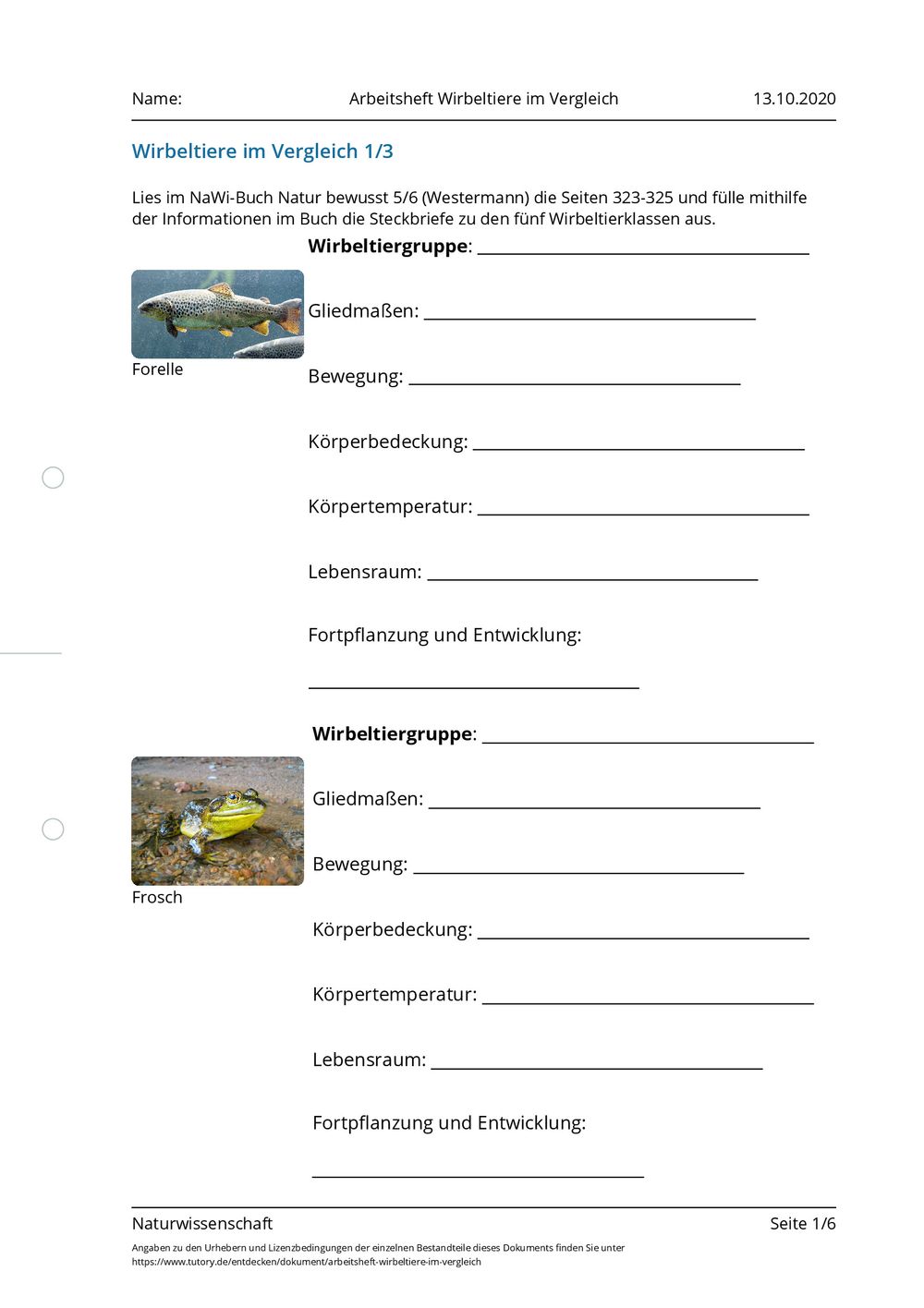 Arbeitsblatt - Arbeitsheft Wirbeltiere im Vergleich - Naturwissenschaft - tutory.de