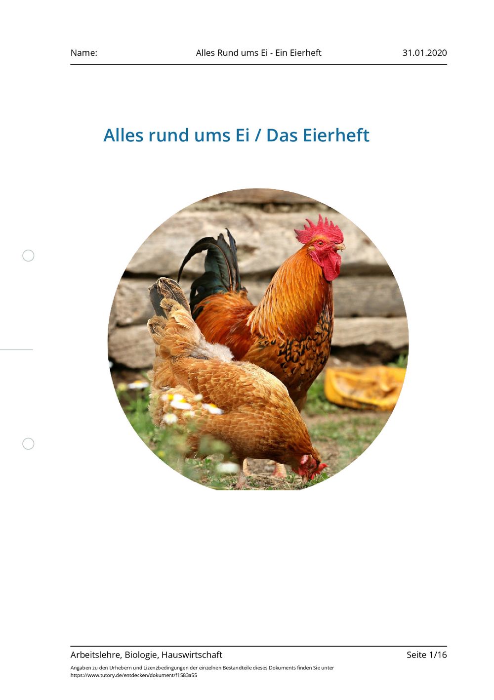 Arbeitsblatt - Alles Rund ums Ei - Ein Eierheft - Arbeitslehre