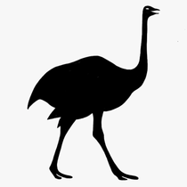 S.Strauß Profilbild von S.Strauß