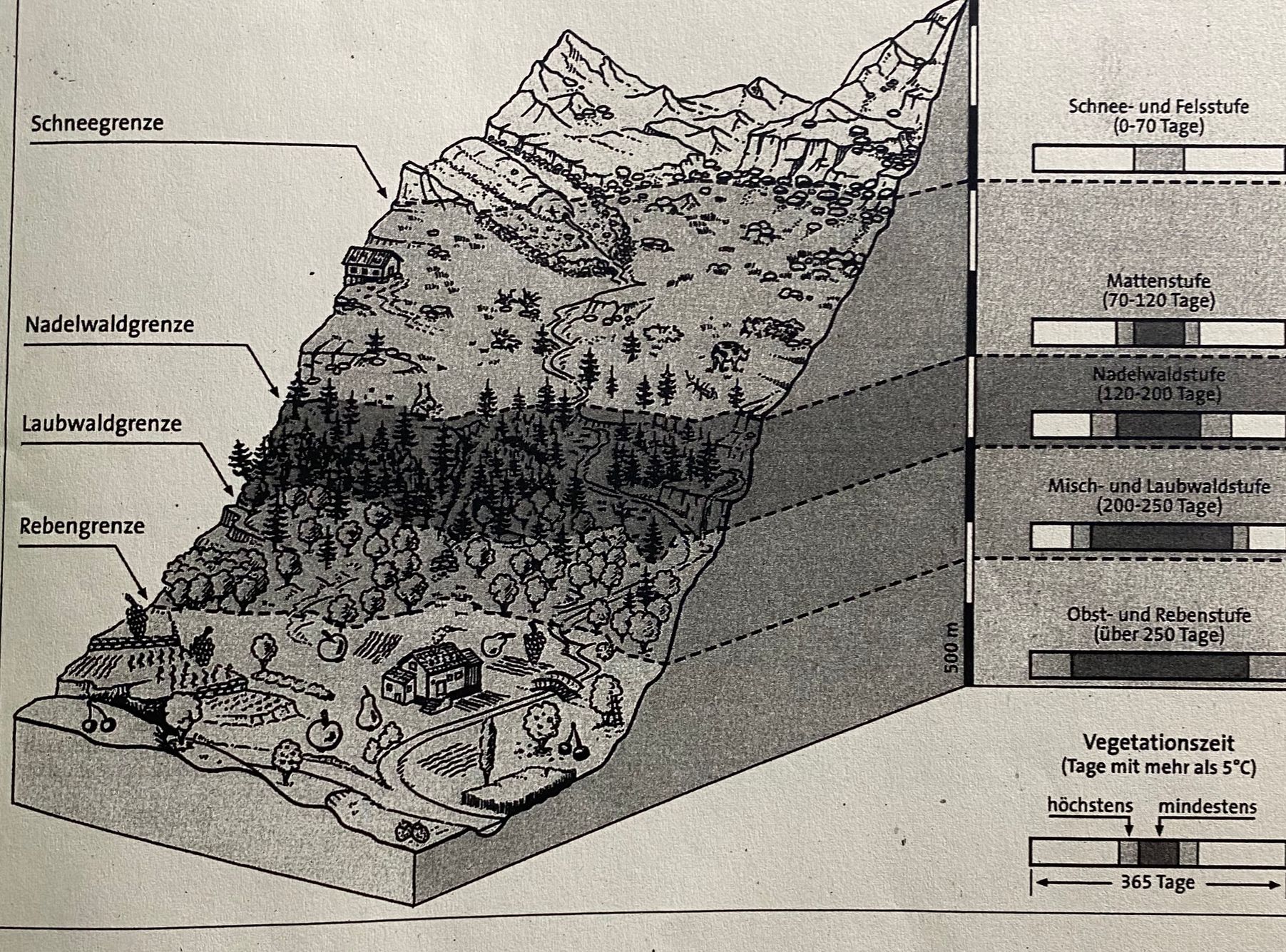 Höhenstufen In Den Alpen Arbeitsblatt Lösung www.tutory.de
